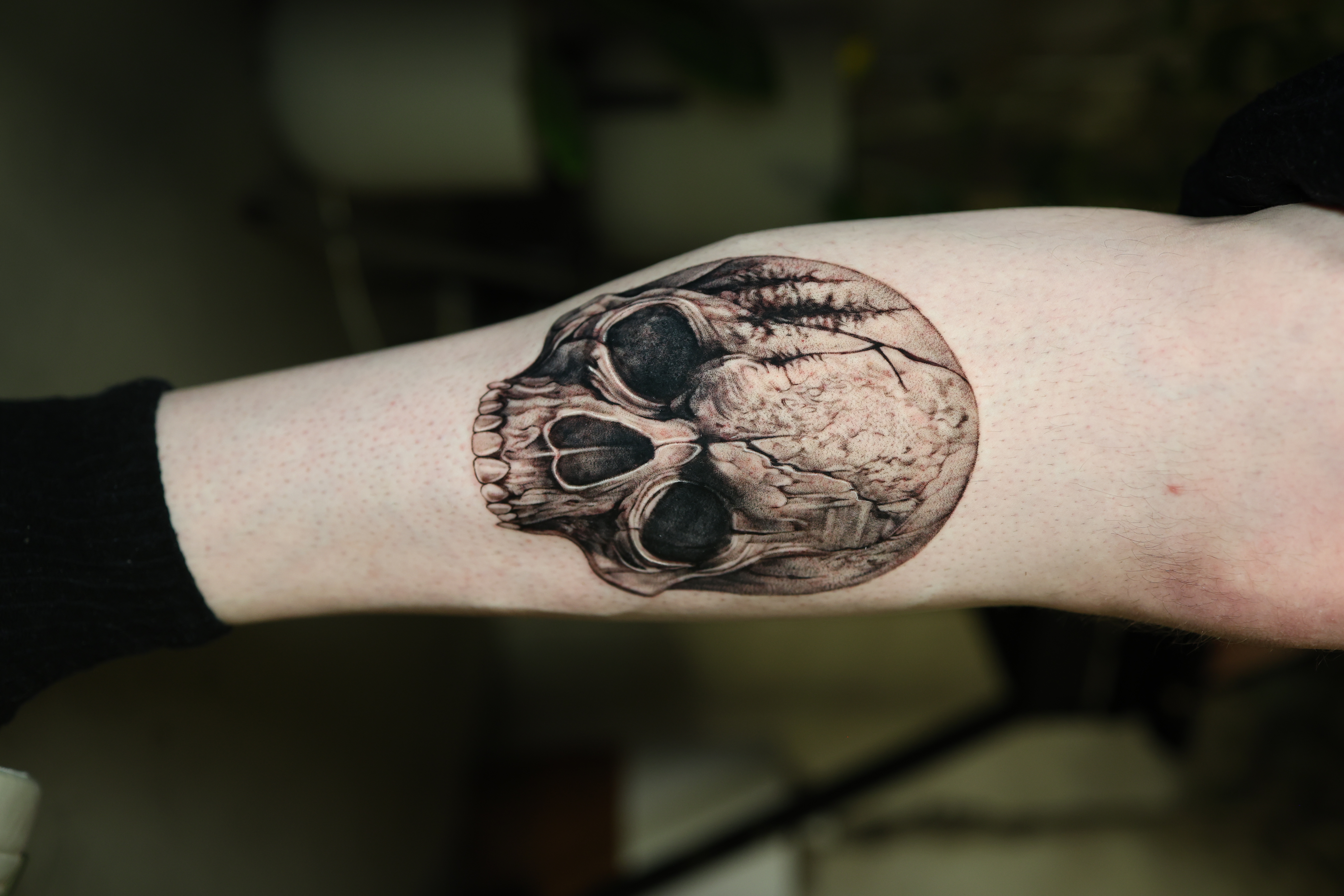 Skull Study